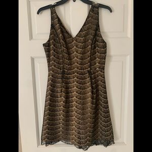 C. Luce black eyelet lace a-line dress